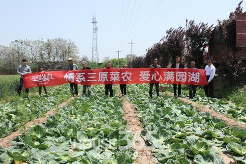 长兴园湖曲情系三原菜农 爱心公益传递正能量