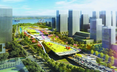 江心洲岛上人车分流规划示意图