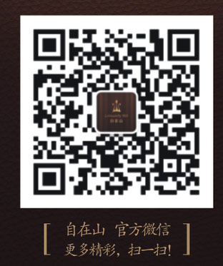 收入证明_仲量联行收入(3)