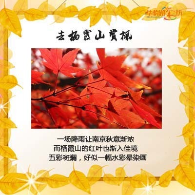 孟非面馆图片