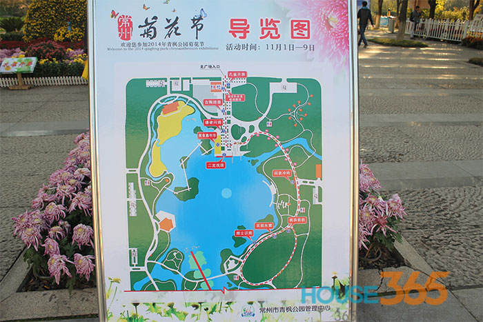 精华大图集:常州第四届菊花节在青枫公园开幕