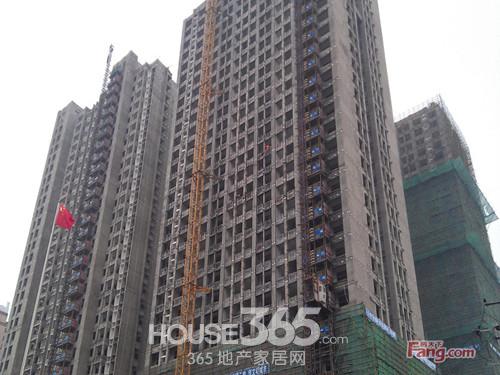 合肥房地产家居门户网站-365淘房 三六五 合肥