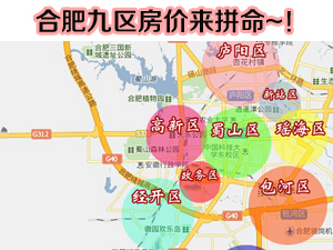 合肥九区房价来打榜! 经开小"