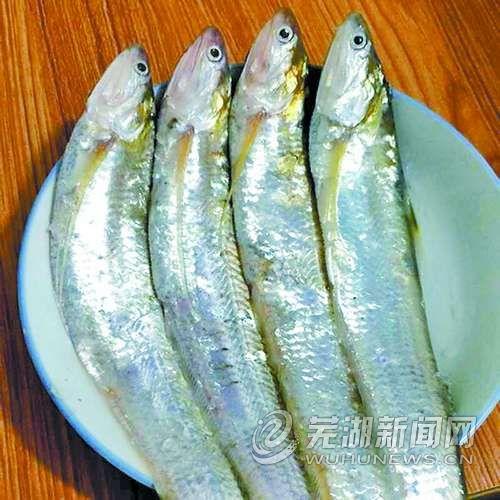 乘中国最美高铁尝正宗无为美食-芜湖365淘房立美食附近群图片