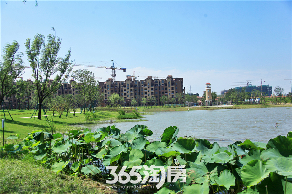 华强城颐景湾畔|芜湖|湖景美景|芜湖实景现房|宜居芜湖|365淘房