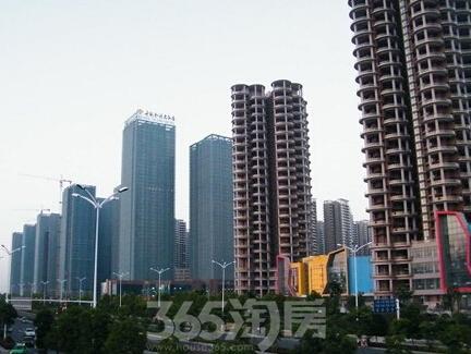 145662676856d25c50e19a1.jpg