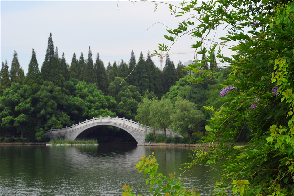 【图集】雨山湖公园