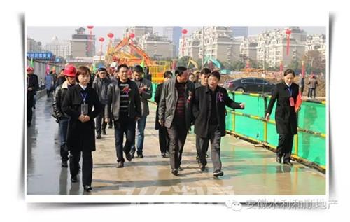 有安徽水利开发股份有限公司党委书记,总经理张晓林,副总经理杨海飞