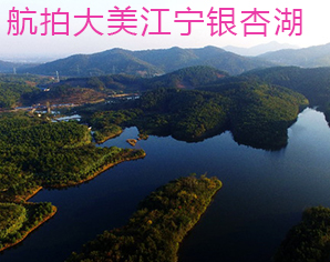 航拍大美南京江宁银杏湖