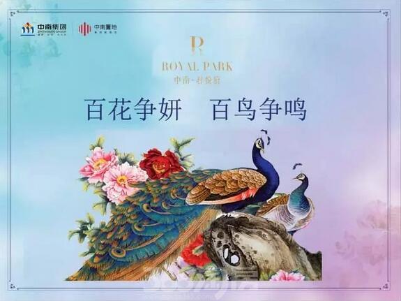 最近的中南君悦府有太多精彩不容错过