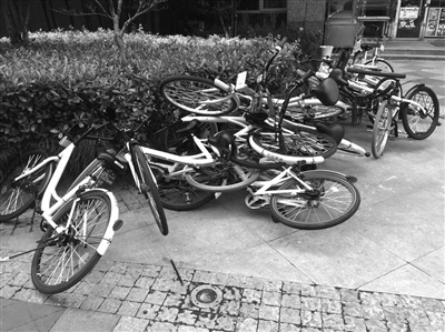 软件园里共享单车胡乱停放 业主投诉 领导火了