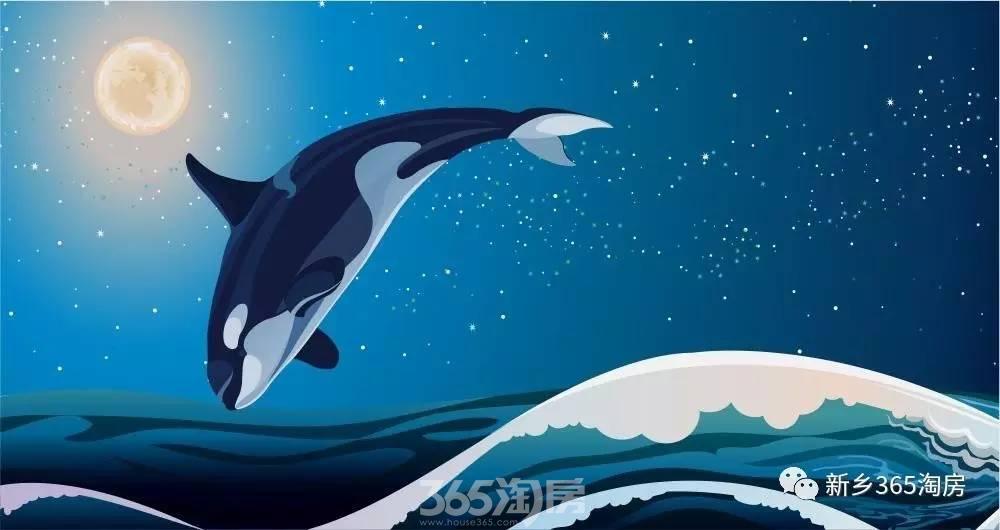 在新乡陆地上也可以看到大蓝鲸哦!这只大鲸鱼比大黄鸭还要长!