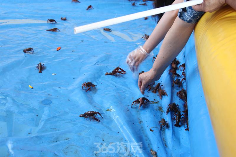 中邦欢乐颂