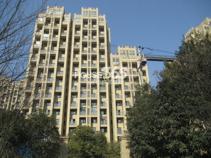 赞成乐山红叶项目3号楼实景图（2015.2）