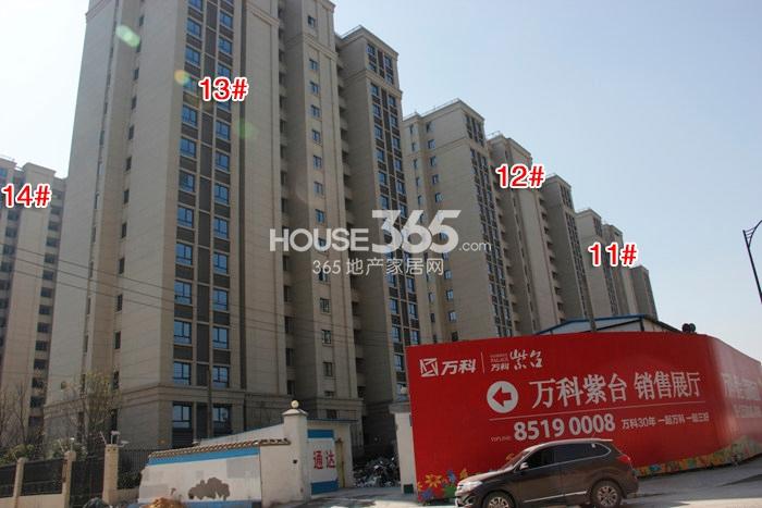 万科紫台11-14号楼施工实景图 2015年2月摄 