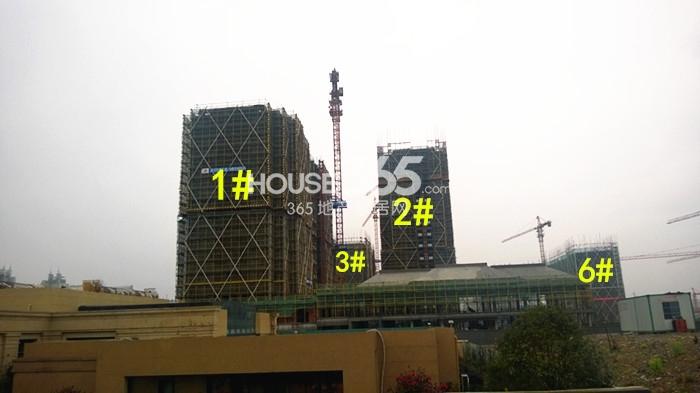 绿城九龙仓钱塘明月1-3、6号楼施工实景图 2015年2月摄