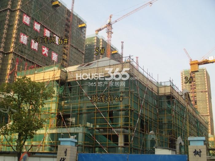 绿城莲园汀莲阁3、5、6号楼施工进程图（2015.3）