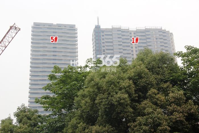 2015年5月世茂之西湖项目实景--1、5号楼
