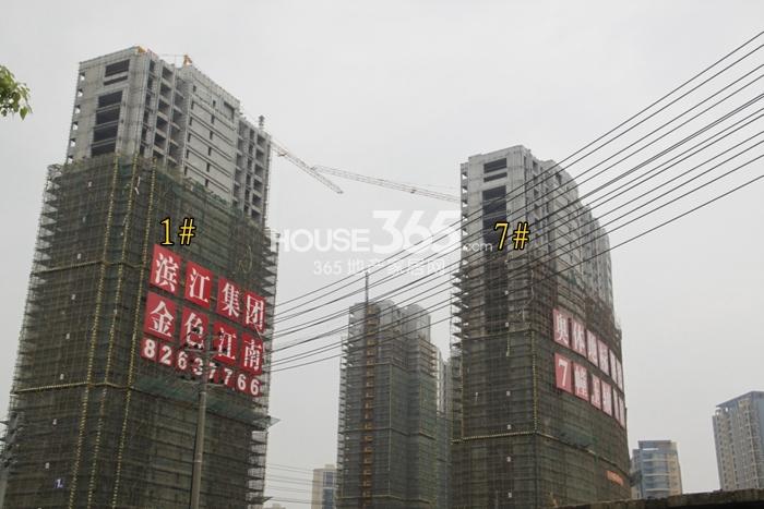 滨江金色江南1、7号楼施工实景图 2015年5月摄