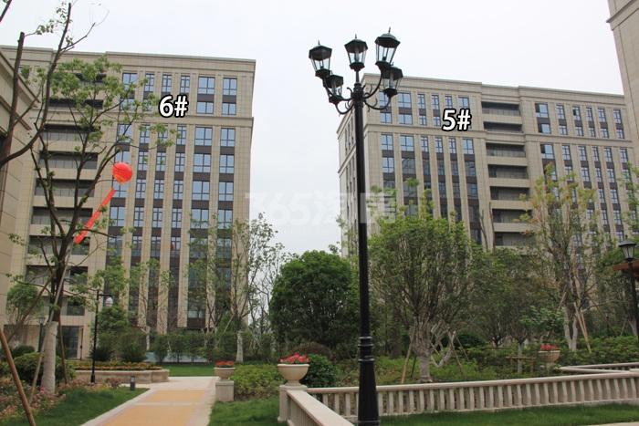 六和云项目5、6号楼实景图（2015.7）