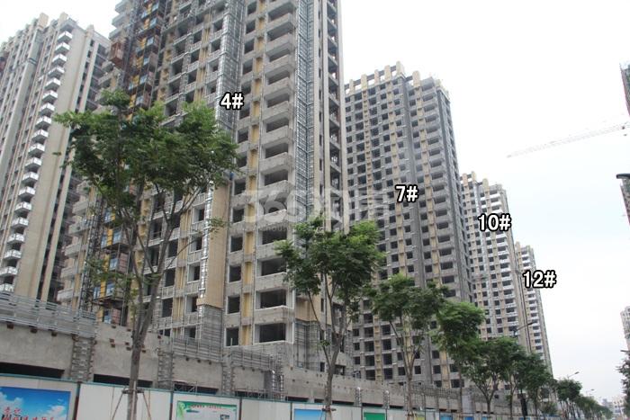 融科瑷颐湾4、7、10、12号楼施工实景图 2015年9月摄 