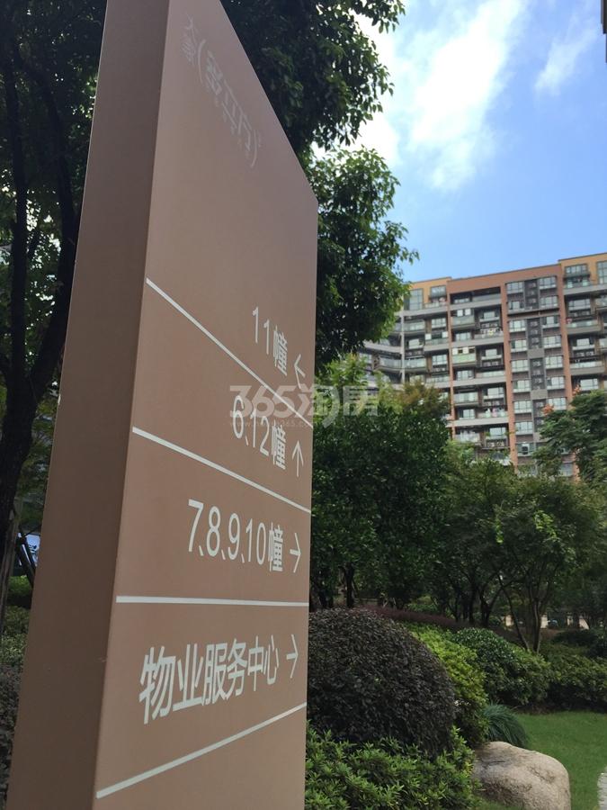 大家多立方实景图