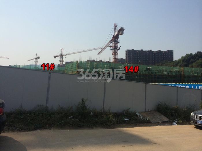 万科坤和玉泉项目11、14号楼施工进程图（2015.10）
