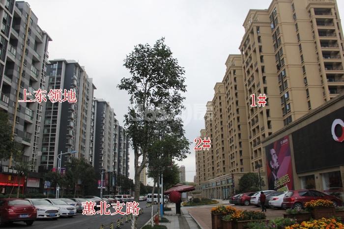 广大融城印象1、2号楼实景图 2015年11月摄