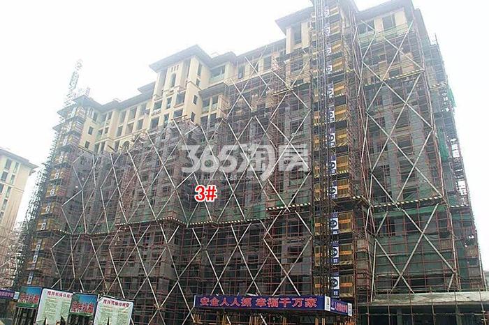 绿城蓝庭项目3号楼施工进程图（2015.12）