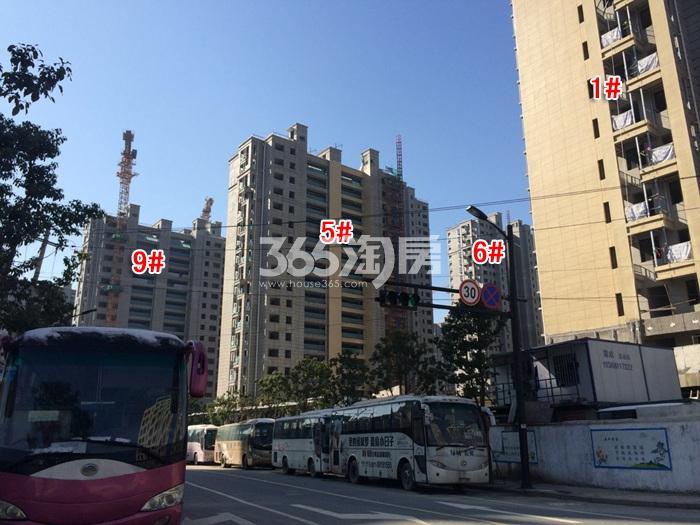 Խǻг1569¥ʩʵͼ 20161