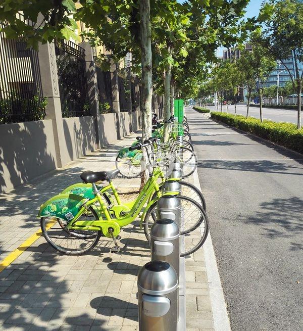 汉源国际丽城公共自行车点（8.18）
