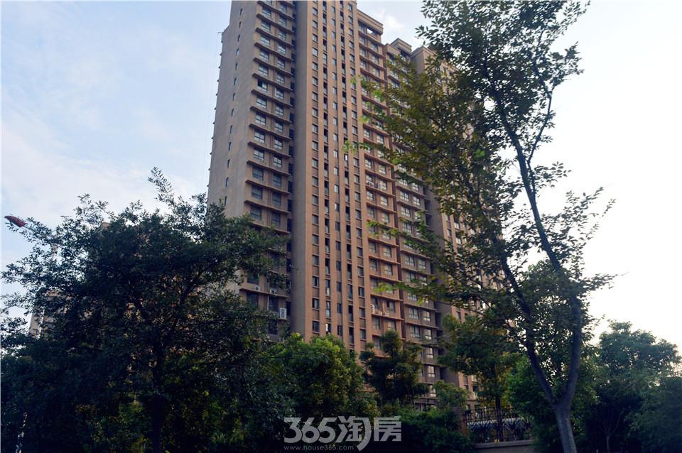 【图集】金海岸名邸与节庆广场相望 远离喧嚣