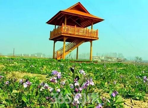 标题:2016年江苏省连云港市第二届"海之润杯"象棋公