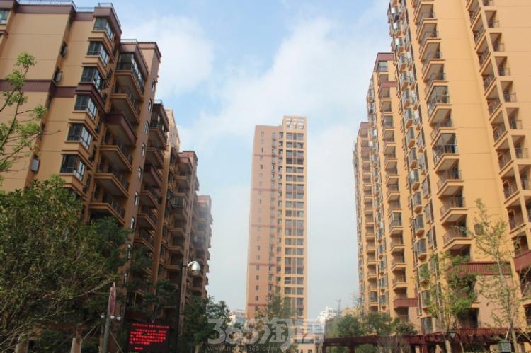 香江丽景:家住金陵后花园 风景这边独好