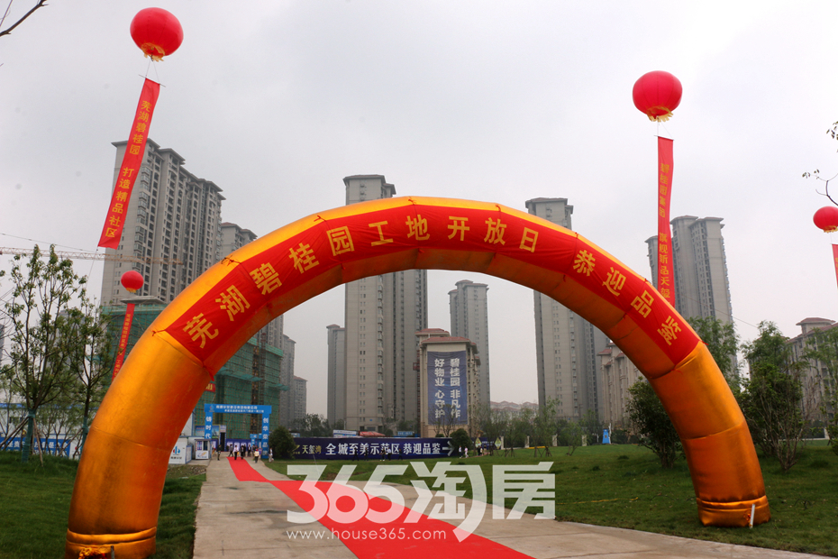 纯素颜展示碧桂园工地开放日启幕图集