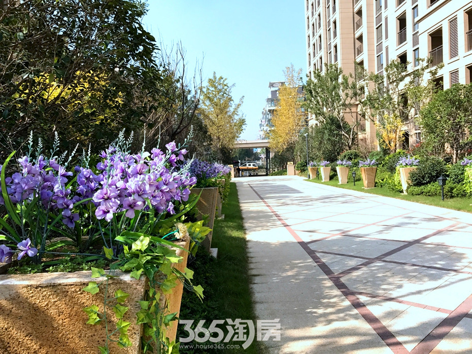 恭迎郡主回家 信达蓝湖郡一期实拍-芜湖365淘房