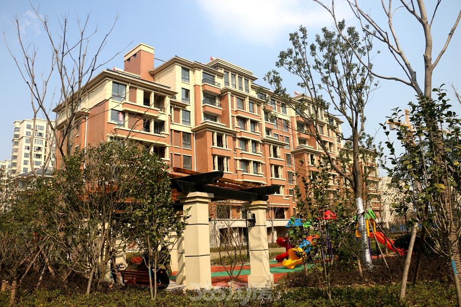 图集|大宅已成 东紫园电梯低密度多层实拍-芜湖365淘房