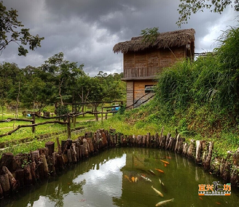 海南有个天然氧吧---雨林谷